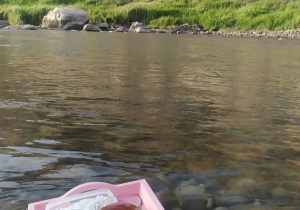 سیمره‌ی زندگی، سیمره‌ی مرگ؛ تکان دهنده، فاجعه بار و عبرت آموز / حشمت اله کرمی نژاد