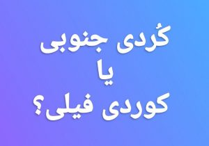 «کردی فیلی» یا «کردی جنوبی»؟