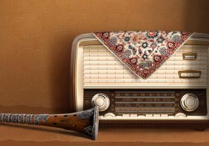 انواع رسانه‌های فعال در حوزه جغرافیایی کورد فه‌یلی