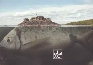 هویت، تعیین هویت و تفاوت